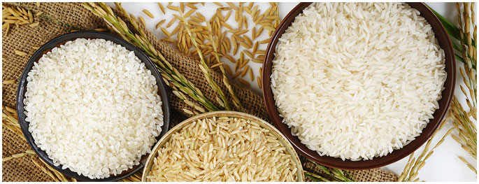 1121-steamed-basmati-rice