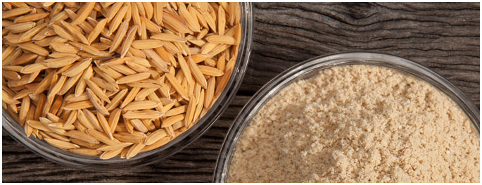 rice-bran-extraction-meal-grade-2