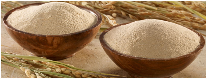 rice-bran-extraction-meal-grade-1