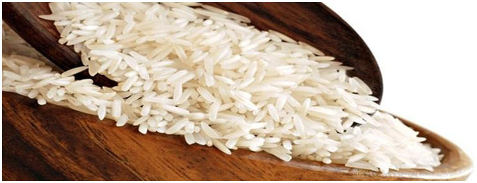 ir-36-sella-rice