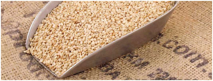 natural-whitish-sesame-seeds-98-2